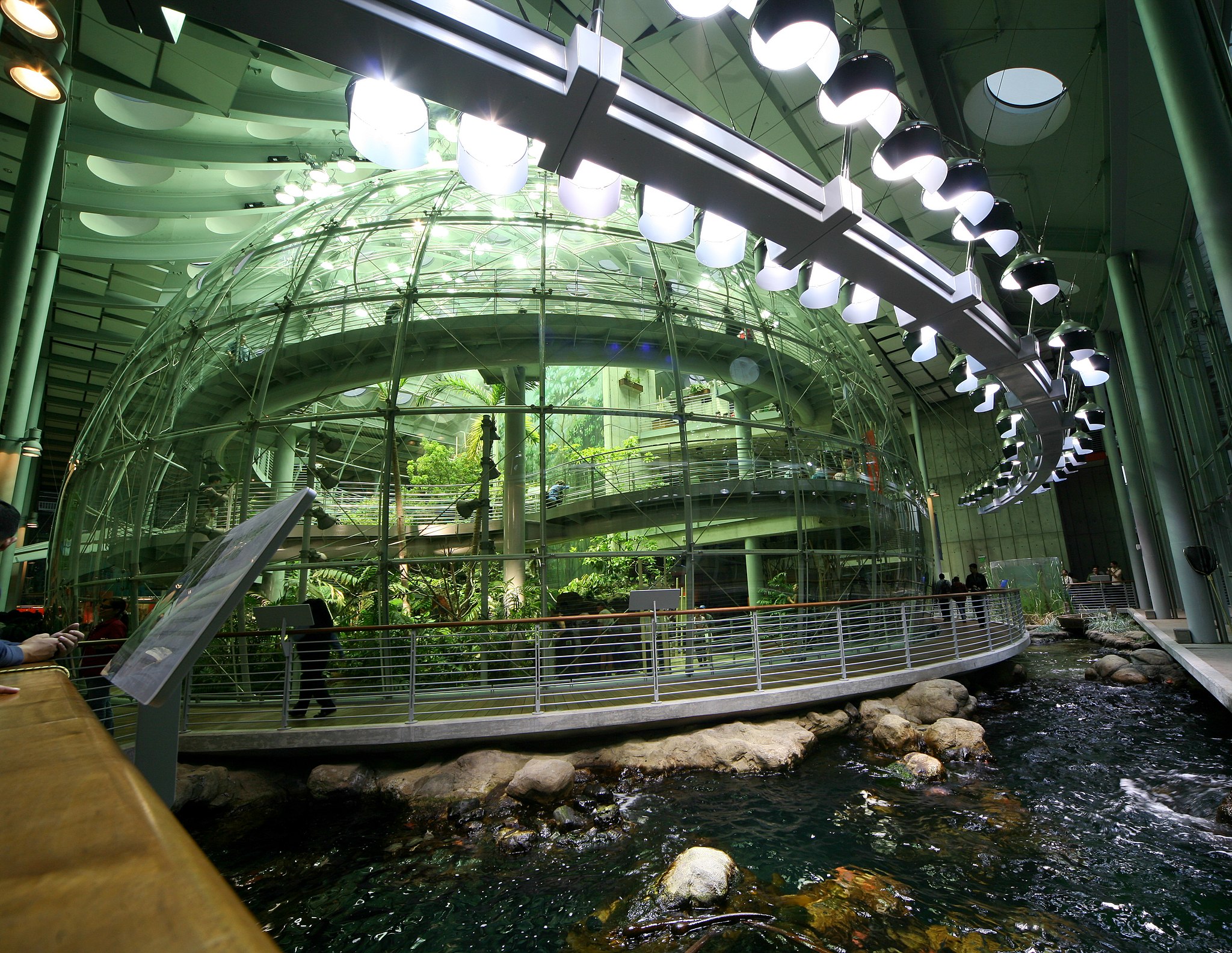 Science @ Home: Snakes  California Academy of Sciences